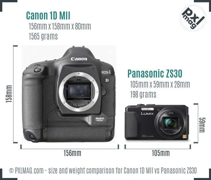 Canon 1D MII vs Panasonic ZS30 size comparison