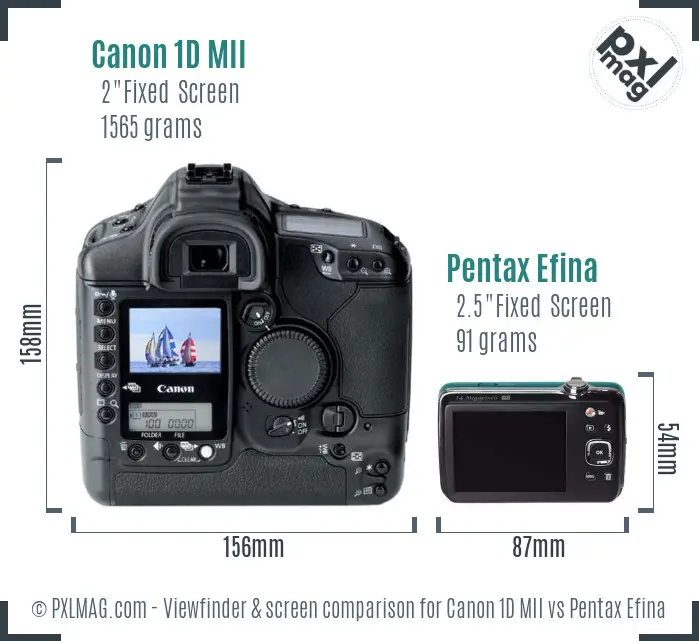 Canon 1D MII vs Pentax Efina Screen and Viewfinder comparison