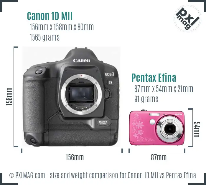 Canon 1D MII vs Pentax Efina size comparison