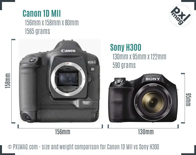 Canon 1D MII vs Sony H300 size comparison