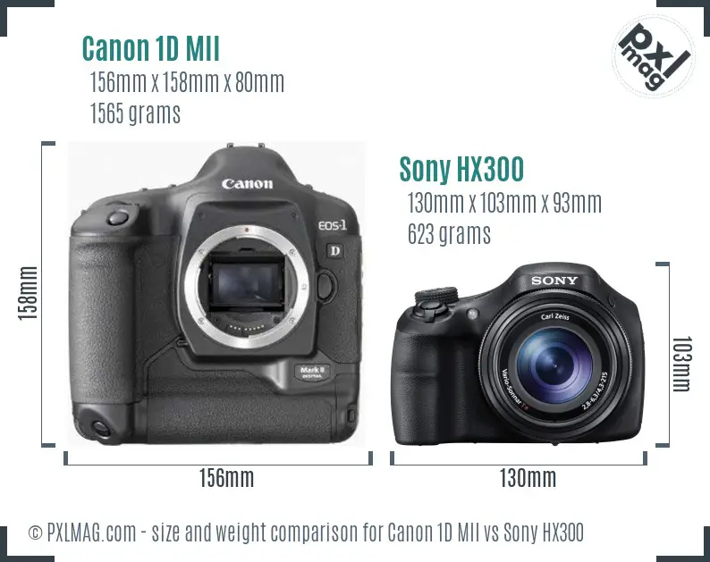 Canon 1D MII vs Sony HX300 size comparison