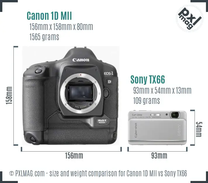 Canon 1D MII vs Sony TX66 size comparison
