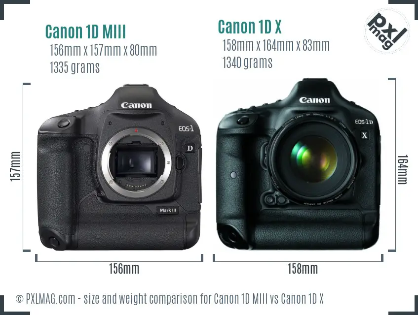 Canon 1D MIII vs Canon 1D X size comparison