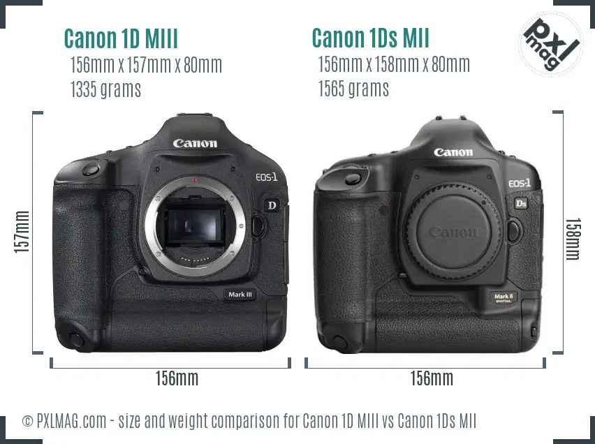 Canon 1D MIII vs Canon 1Ds MII size comparison