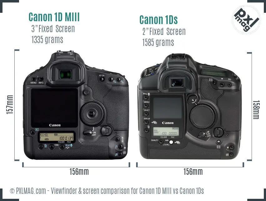 Canon 1D MIII vs Canon 1Ds Screen and Viewfinder comparison