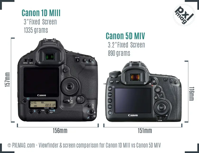 Canon 1D MIII vs Canon 5D MIV Screen and Viewfinder comparison