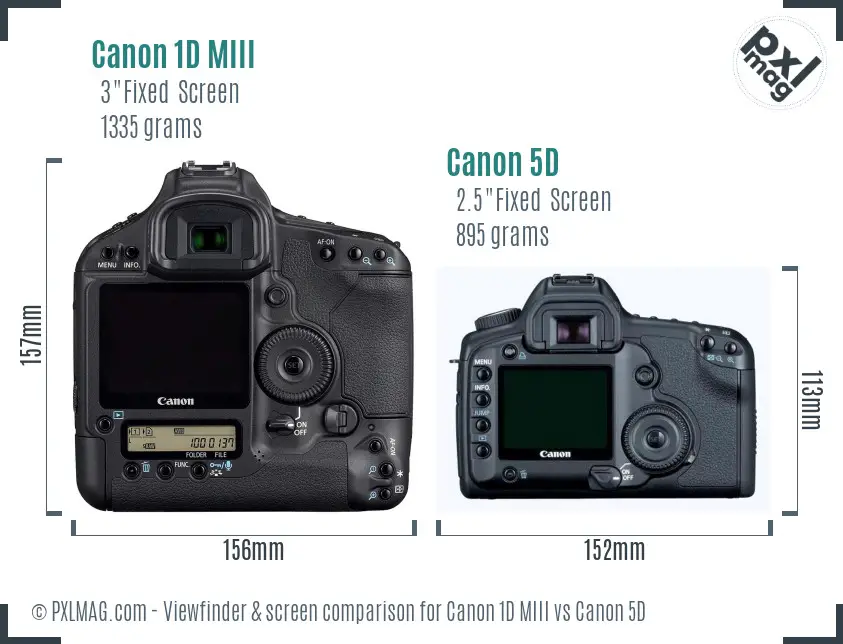 Canon 1D MIII vs Canon 5D Screen and Viewfinder comparison Canon 1D MIII vs Canon 5D Screen and Viewfinder comparison