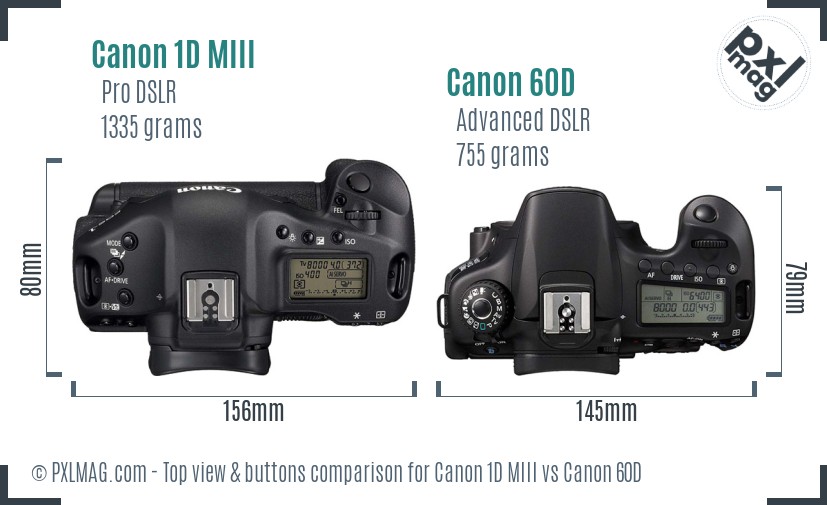 Canon 1D MIII vs Canon 60D top view buttons comparison