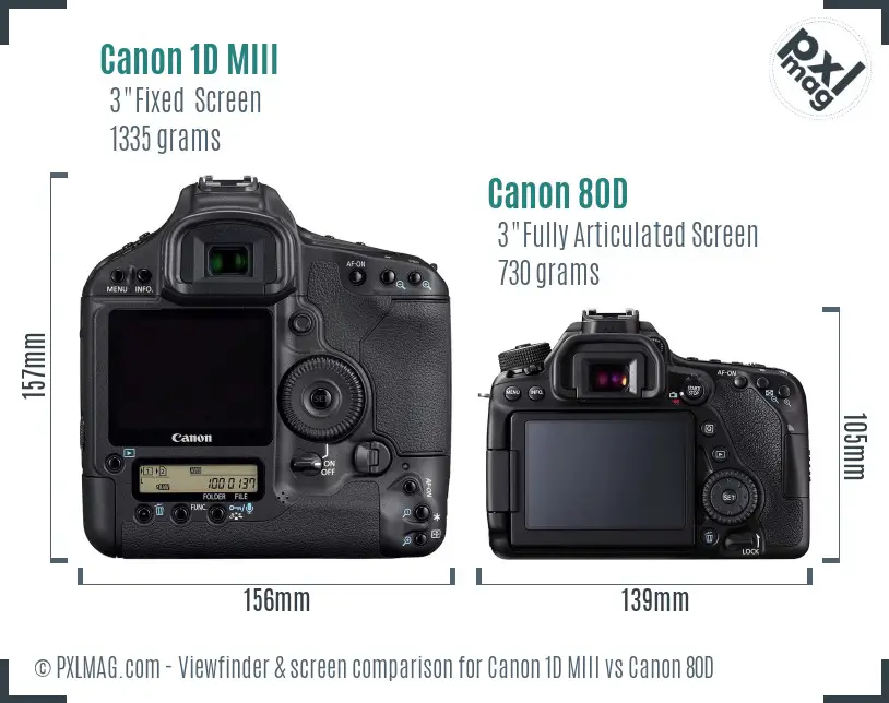 Canon 1D MIII vs Canon 80D Screen and Viewfinder comparison