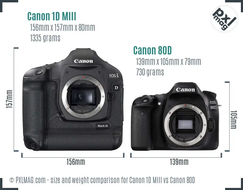 Canon 1D MIII vs Canon 80D size comparison