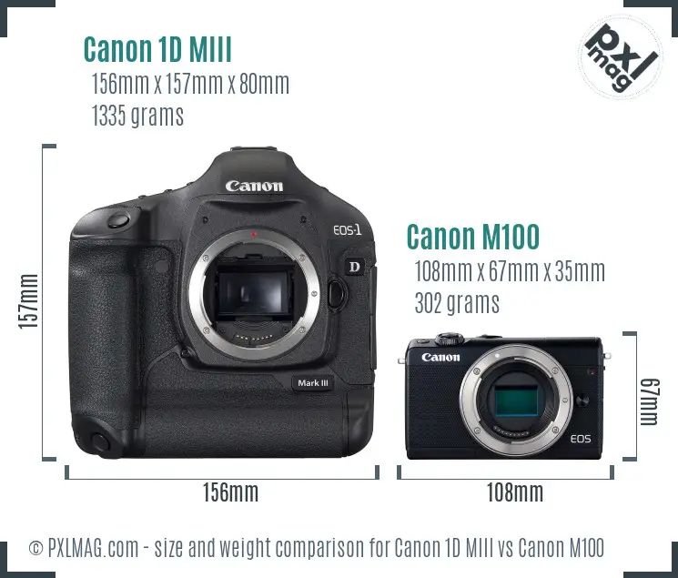 Canon 1D MIII vs Canon M100 size comparison