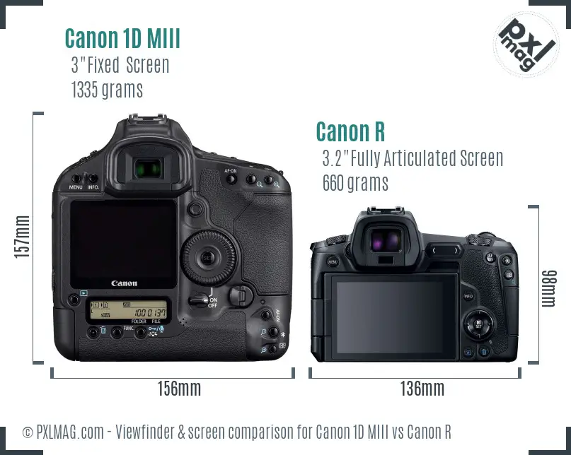 Canon 1D MIII vs Canon R Screen and Viewfinder comparison