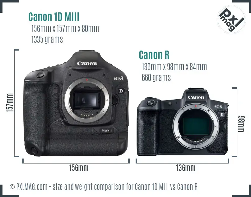 Canon 1D MIII vs Canon R size comparison