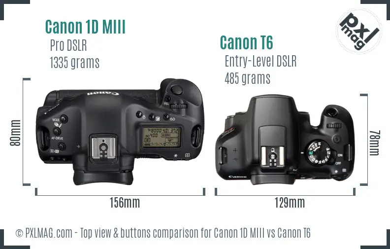 Canon 1D MIII vs Canon T6 top view buttons comparison Canon 1D MIII vs Canon T6 top view buttons comparison
