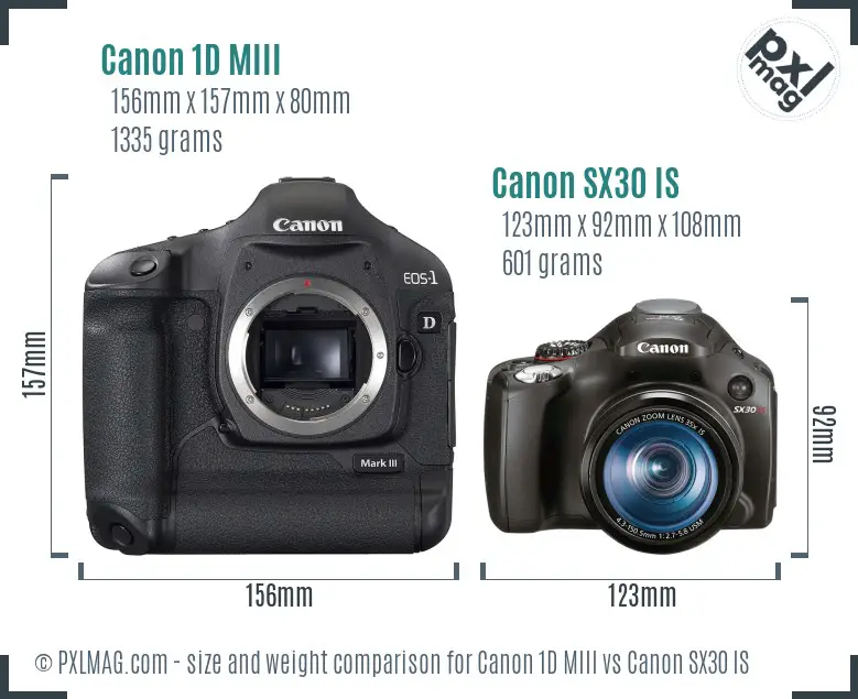 Canon 1D MIII vs Canon SX30 IS size comparison