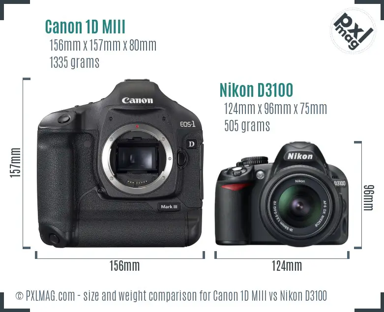 Canon 1D MIII vs Nikon D3100 size comparison Canon 1D MIII vs Nikon D3100 size comparison