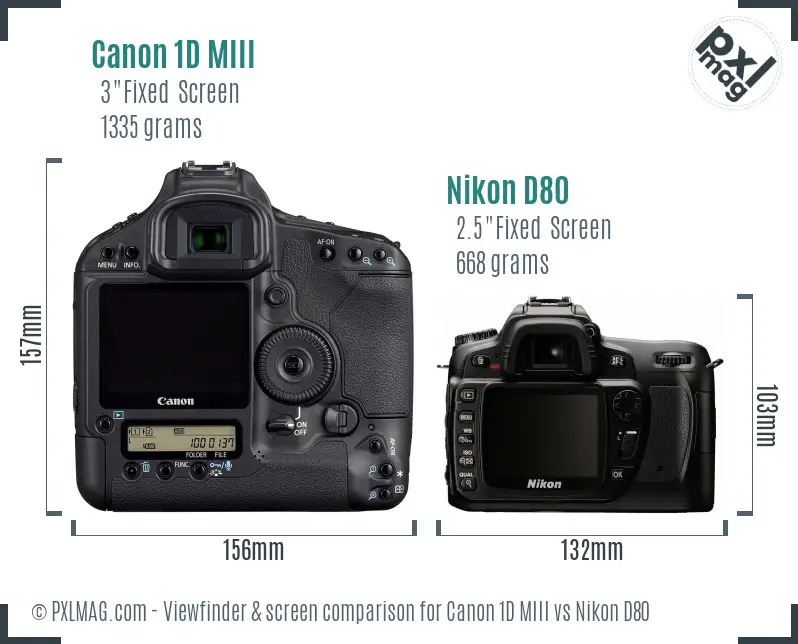 Canon 1D MIII vs Nikon D80 Screen and Viewfinder comparison Canon 1D MIII vs Nikon D80 Screen and Viewfinder comparison