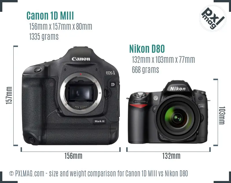 Canon 1D MIII vs Nikon D80 size comparison Canon 1D MIII vs Nikon D80 size comparison