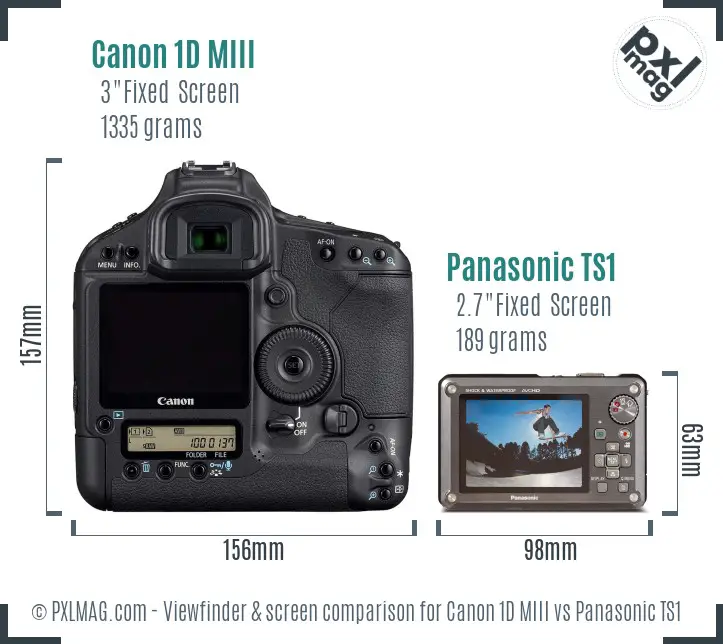 Canon 1D MIII vs Panasonic TS1 Screen and Viewfinder comparison