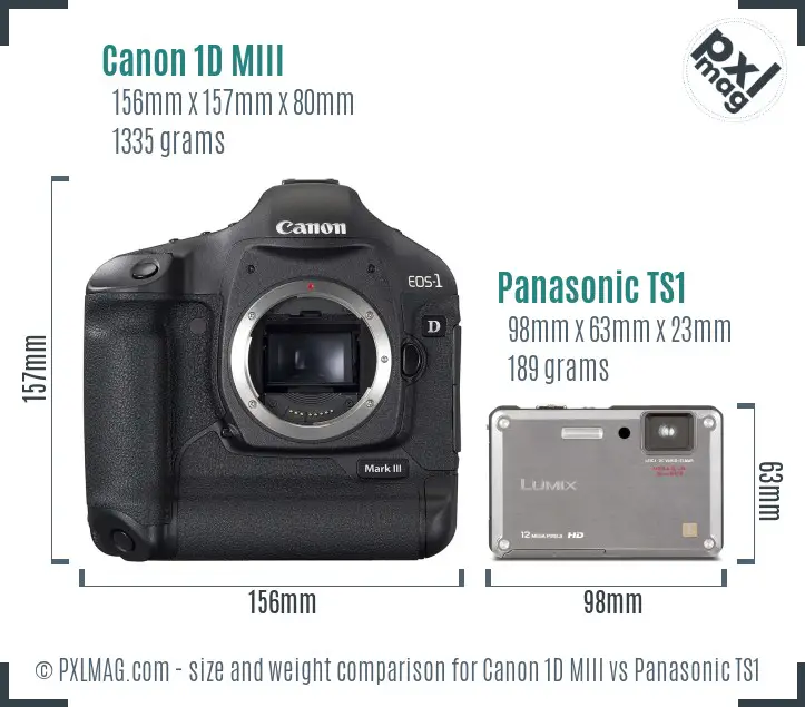 Canon 1D MIII vs Panasonic TS1 size comparison