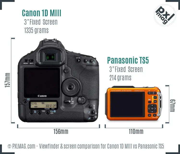 Canon 1D MIII vs Panasonic TS5 Screen and Viewfinder comparison