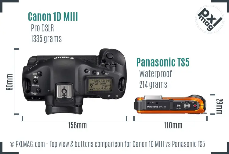 Canon 1D MIII vs Panasonic TS5 top view buttons comparison