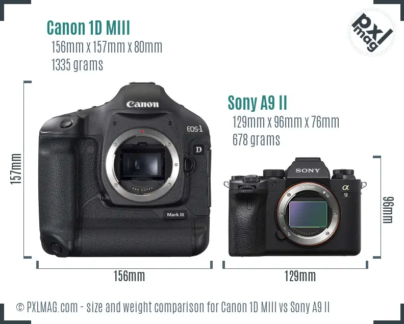 Canon 1D MIII vs Sony A9 II size comparison