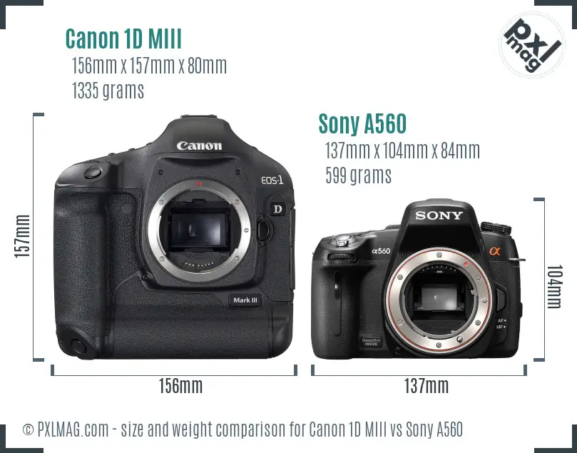 Canon 1D MIII vs Sony A560 size comparison