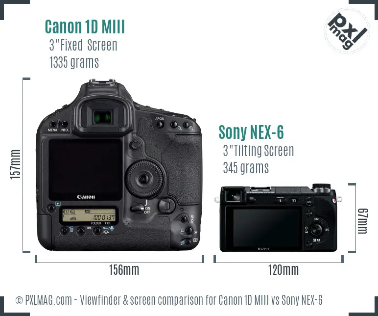 Canon 1D MIII vs Sony NEX-6 Screen and Viewfinder comparison Canon 1D MIII vs Sony NEX-6 Screen and Viewfinder comparison