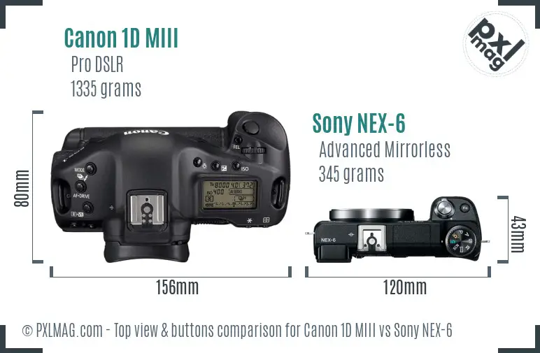 Canon 1D MIII vs Sony NEX-6 top view buttons comparison Canon 1D MIII vs Sony NEX-6 top view buttons comparison
