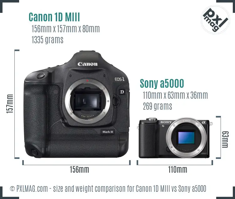 Canon 1D MIII vs Sony a5000 size comparison