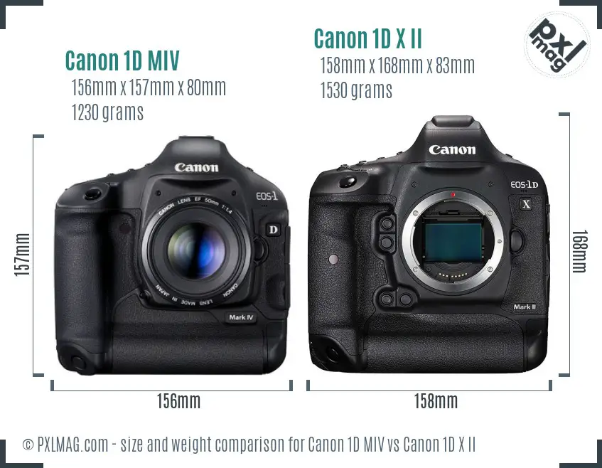 Canon 1D MIV vs Canon 1D X II size comparison
