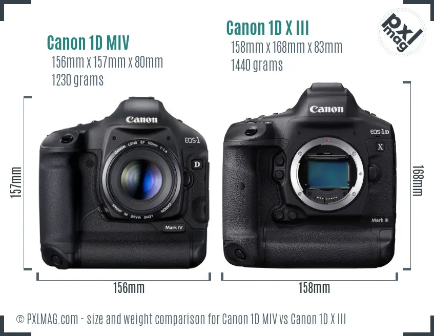Canon 1D MIV vs Canon 1D X III size comparison