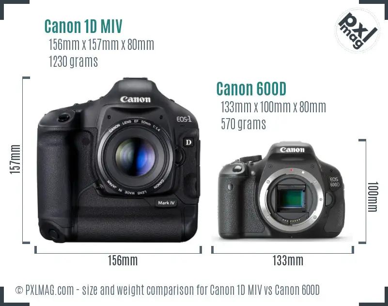 Canon 1D MIV vs Canon 600D size comparison
