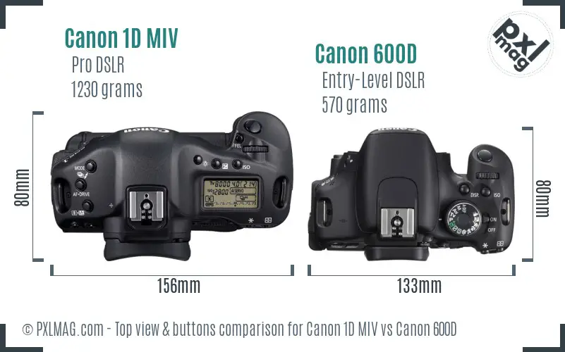 Canon 1D MIV vs Canon 600D top view buttons comparison