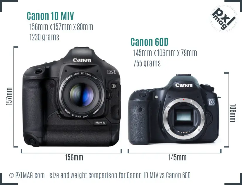 Canon 1D MIV vs Canon 60D size comparison