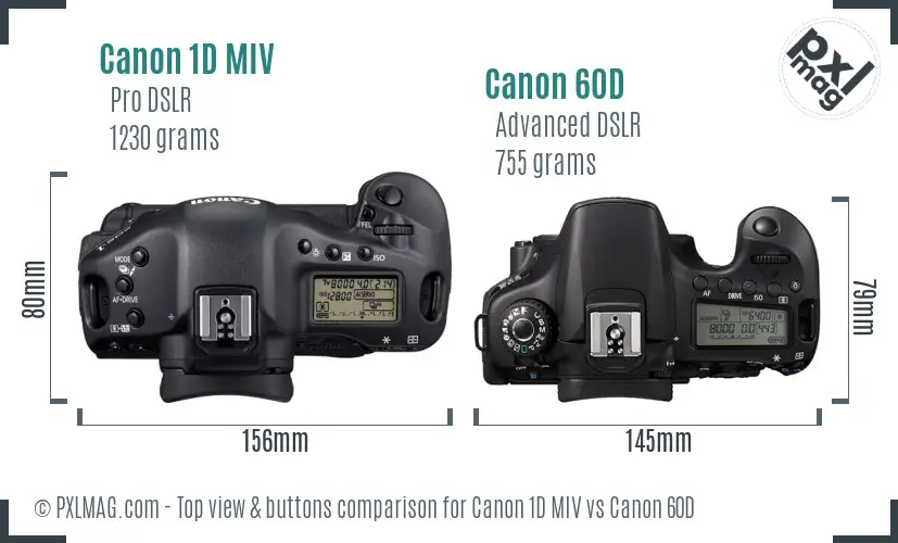 Canon 1D MIV vs Canon 60D top view buttons comparison