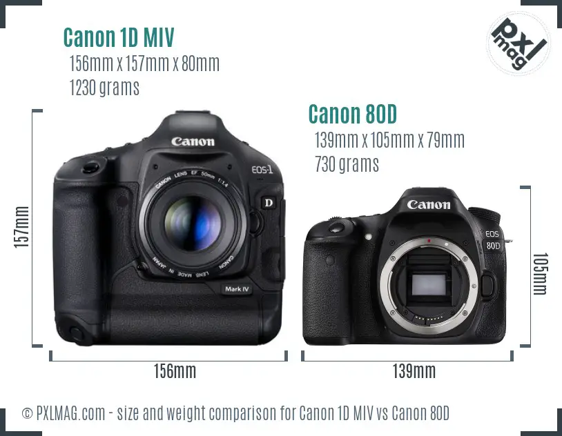 Canon 1D MIV vs Canon 80D size comparison
