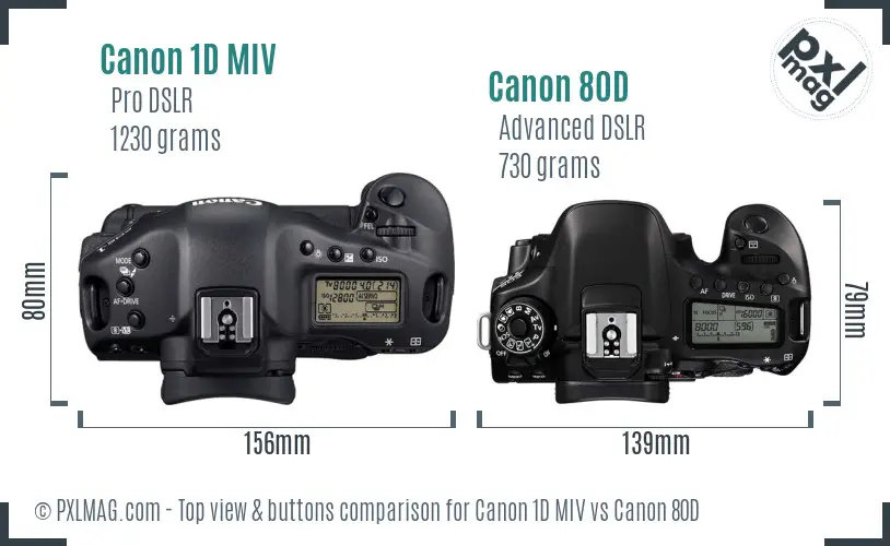 Canon 1D MIV vs Canon 80D top view buttons comparison