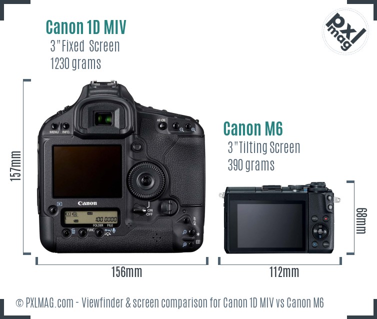Canon 1D MIV vs Canon M6 Screen and Viewfinder comparison