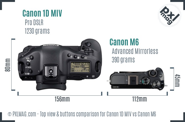 Canon 1D MIV vs Canon M6 top view buttons comparison