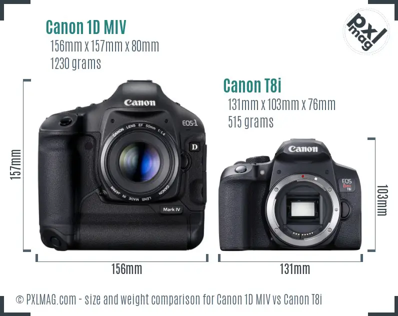Canon 1D MIV vs Canon T8i size comparison