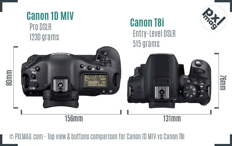 Canon 1D MIV vs Canon T8i top view buttons comparison