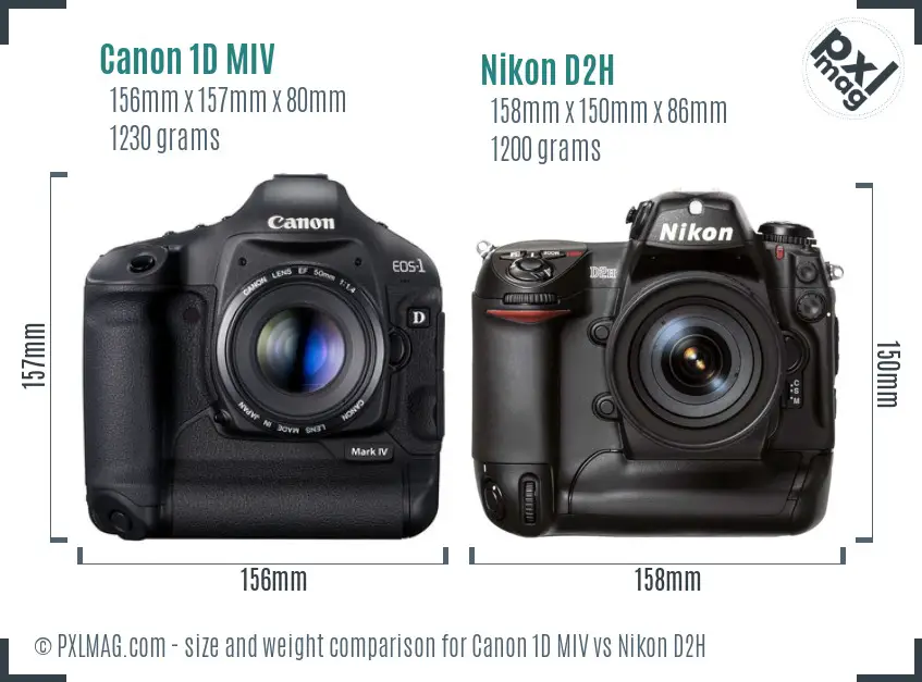 Canon 1D MIV vs Nikon D2H size comparison