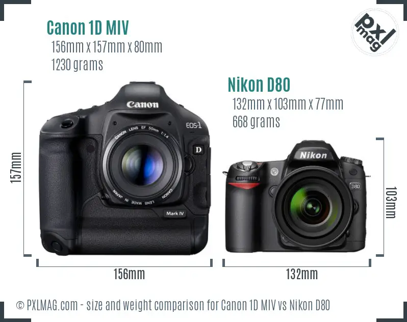 Canon 1D MIV vs Nikon D80 size comparison