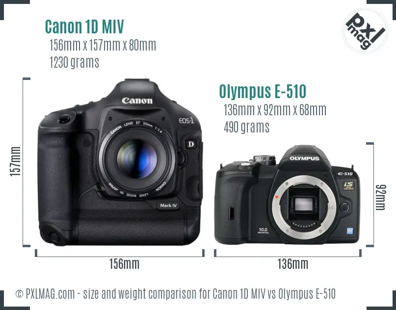 Canon 1D MIV vs Olympus E-510 size comparison