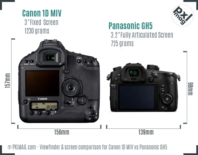 Canon 1D MIV vs Panasonic GH5 Screen and Viewfinder comparison