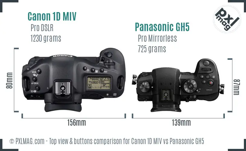 Canon 1D MIV vs Panasonic GH5 top view buttons comparison