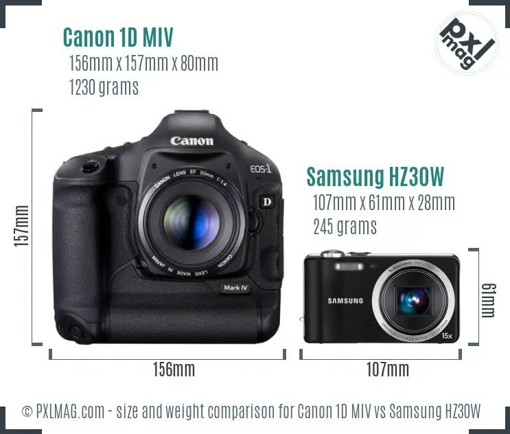 Canon 1D MIV vs Samsung HZ30W size comparison