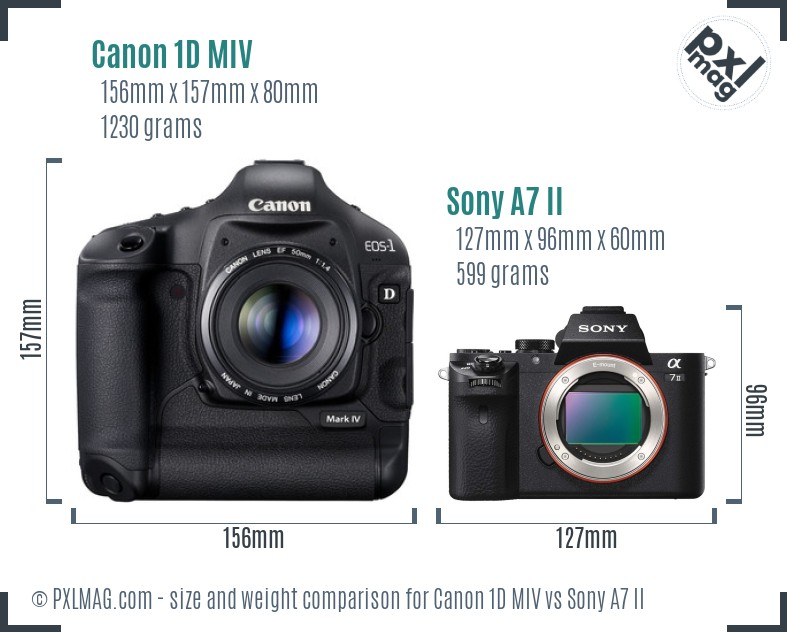Canon 1D MIV vs Sony A7 II size comparison